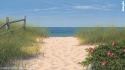 0_4908560_78820.jpg
